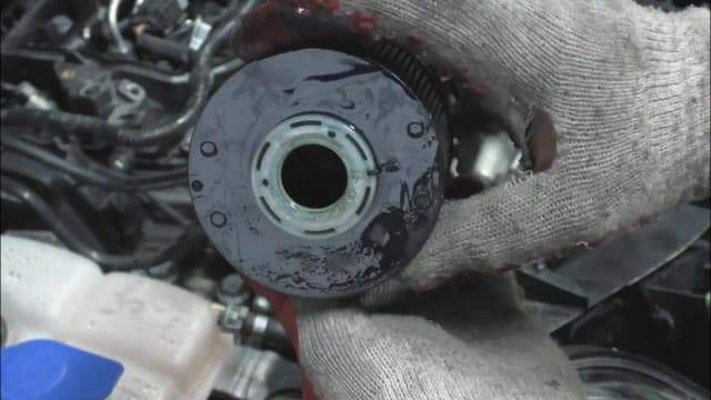 Ford Kuga - co ile wymiana oleju? Sprawdź, aby uniknąć kosztów